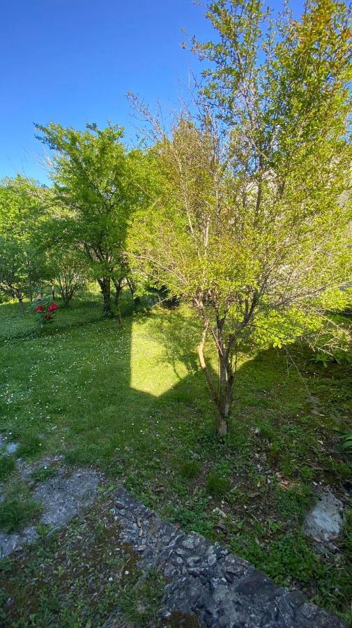 Villa Molinazzo Cicagna ภายนอก รูปภาพ